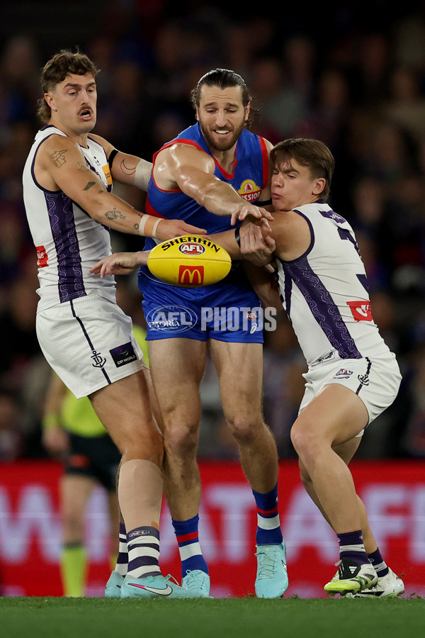 AFL 2025 Round 24 - Western Bulldogs v Fremantle - A-61731384