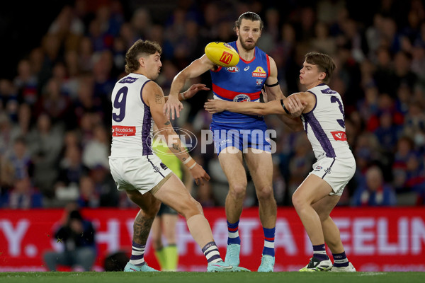 AFL 2025 Round 24 - Western Bulldogs v Fremantle - A-61731385