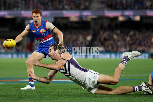 AFL 2025 Round 24 - Western Bulldogs v Fremantle - A-61733139