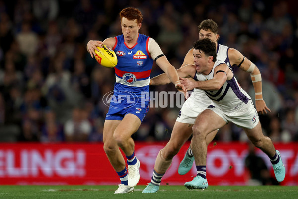 AFL 2025 Round 24 - Western Bulldogs v Fremantle - A-61733140