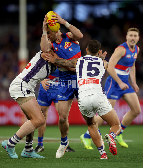 AFL 2025 Round 24 - Western Bulldogs v Fremantle - A-61733175