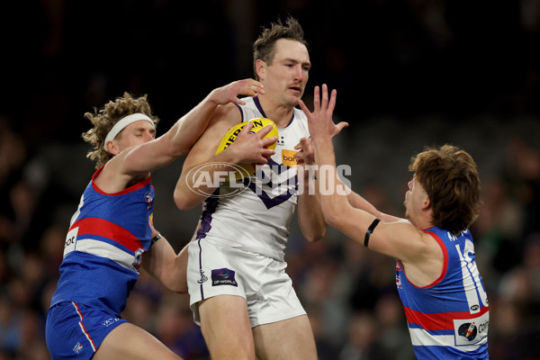 AFL 2025 Round 24 - Western Bulldogs v Fremantle - A-61733180
