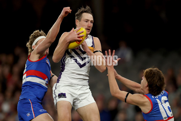 AFL 2025 Round 24 - Western Bulldogs v Fremantle - A-61734646