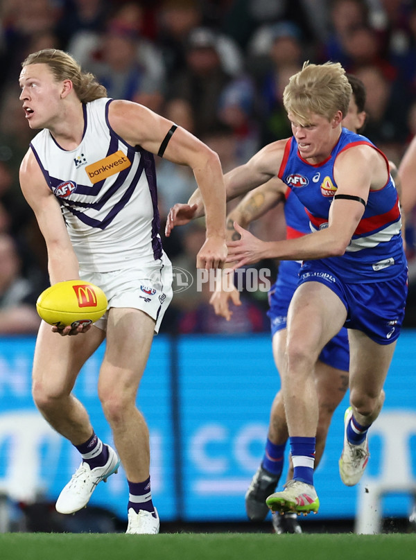 AFL 2025 Round 24 - Western Bulldogs v Fremantle - A-61734709