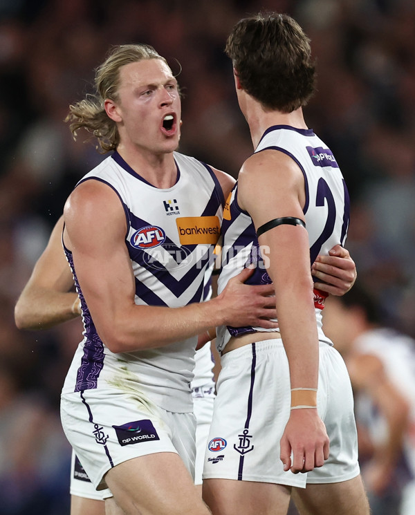 AFL 2025 Round 24 - Western Bulldogs v Fremantle - A-61734712