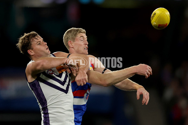 AFL 2025 Round 24 - Western Bulldogs v Fremantle - A-61735983