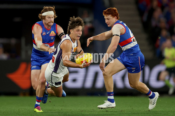 AFL 2025 Round 24 - Western Bulldogs v Fremantle - A-61736028