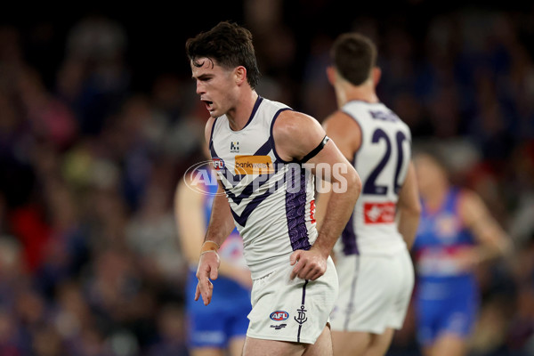AFL 2025 Round 24 - Western Bulldogs v Fremantle - A-61736032