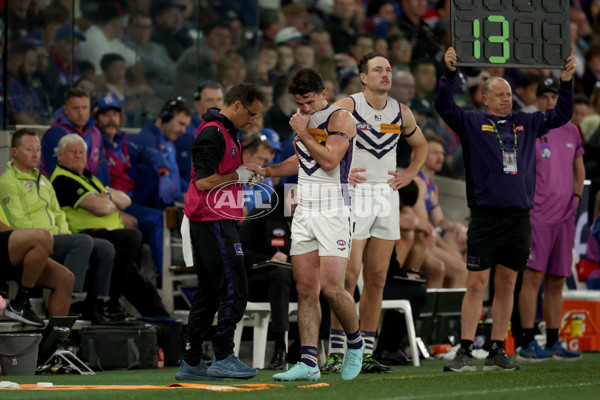 AFL 2025 Round 24 - Western Bulldogs v Fremantle - A-61736041