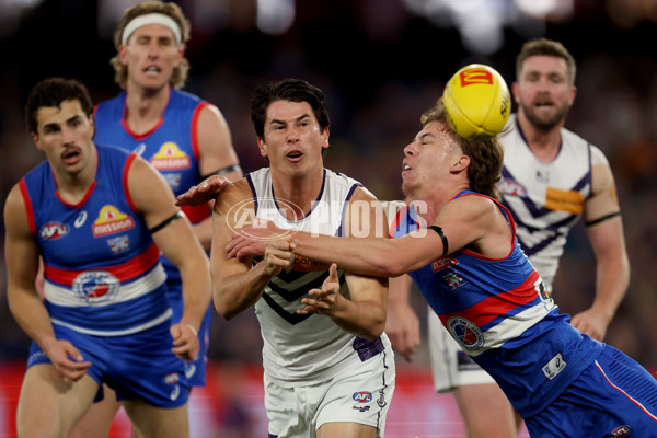 AFL 2025 Round 24 - Western Bulldogs v Fremantle - A-61736984