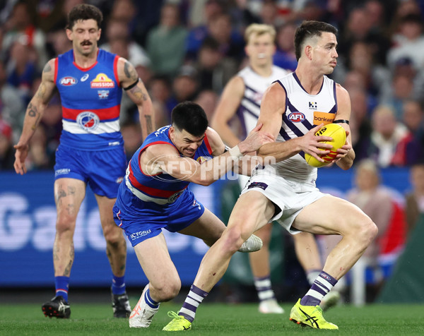 AFL 2025 Round 24 - Western Bulldogs v Fremantle - A-61737029