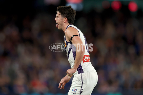 AFL 2025 Round 24 - Western Bulldogs v Fremantle - A-61737042