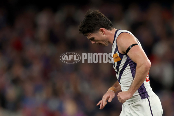 AFL 2025 Round 24 - Western Bulldogs v Fremantle - A-61737044