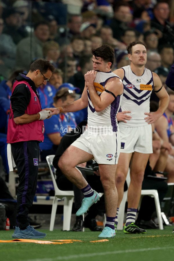 AFL 2025 Round 24 - Western Bulldogs v Fremantle - A-61737046