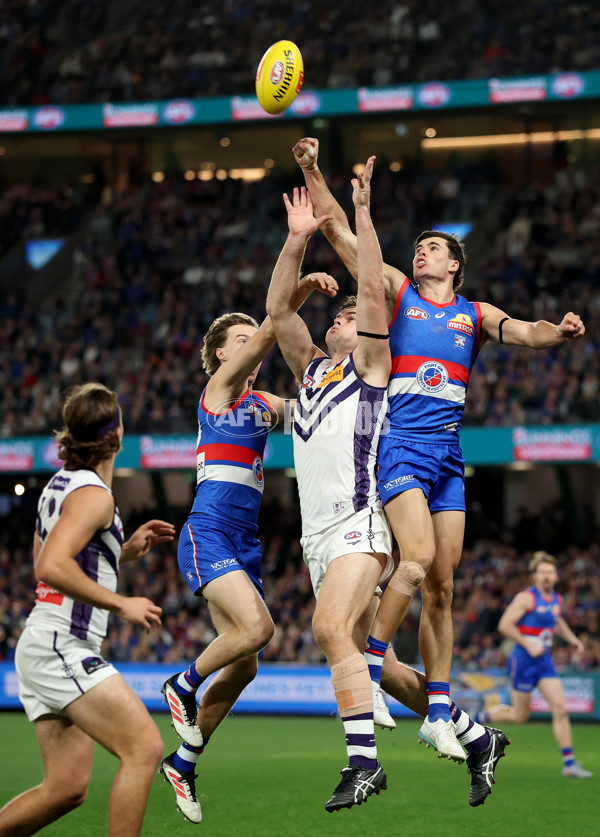 AFL 2025 Round 24 - Western Bulldogs v Fremantle - A-61739490