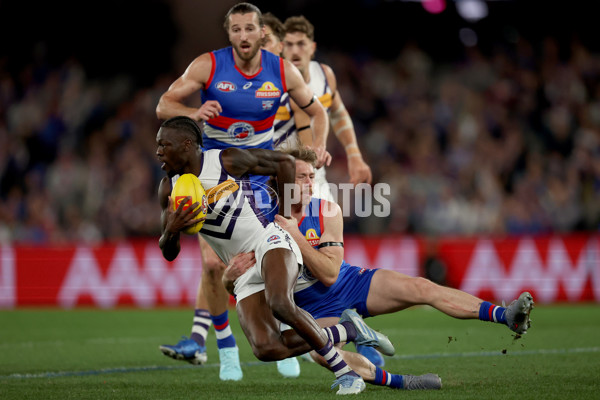 AFL 2025 Round 24 - Western Bulldogs v Fremantle - A-61739519