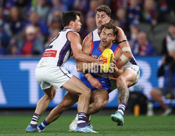 AFL 2025 Round 24 - Western Bulldogs v Fremantle - A-61739523