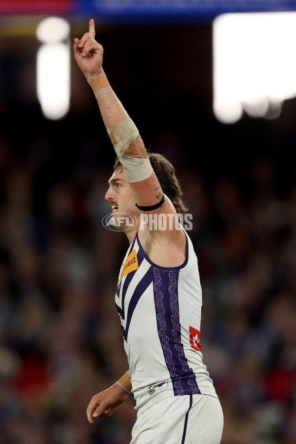 AFL 2025 Round 24 - Western Bulldogs v Fremantle - A-61739707