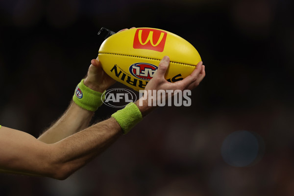 AFL 2025 Round 24 - Western Bulldogs v Fremantle - A-61739778