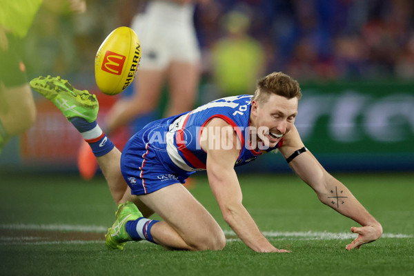 AFL 2025 Round 24 - Western Bulldogs v Fremantle - A-61742093