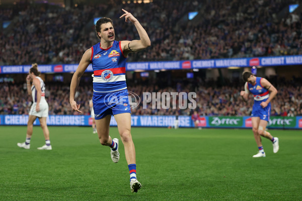 AFL 2025 Round 24 - Western Bulldogs v Fremantle - A-61742104
