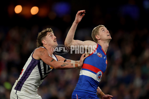 AFL 2025 Round 24 - Western Bulldogs v Fremantle - A-61743128