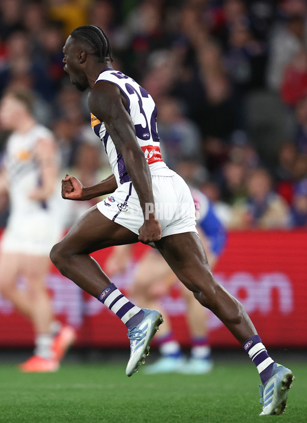 AFL 2025 Round 24 - Western Bulldogs v Fremantle - A-61743156