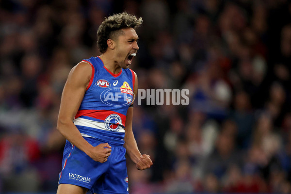 AFL 2025 Round 24 - Western Bulldogs v Fremantle - A-61743176