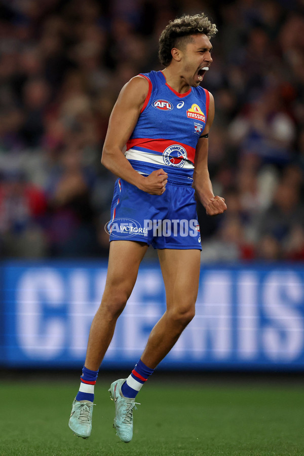 AFL 2025 Round 24 - Western Bulldogs v Fremantle - A-61743178