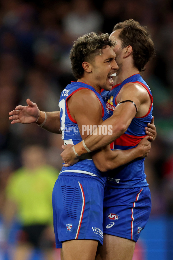 AFL 2025 Round 24 - Western Bulldogs v Fremantle - A-61743189