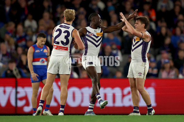 AFL 2025 Round 24 - Western Bulldogs v Fremantle - A-61743197
