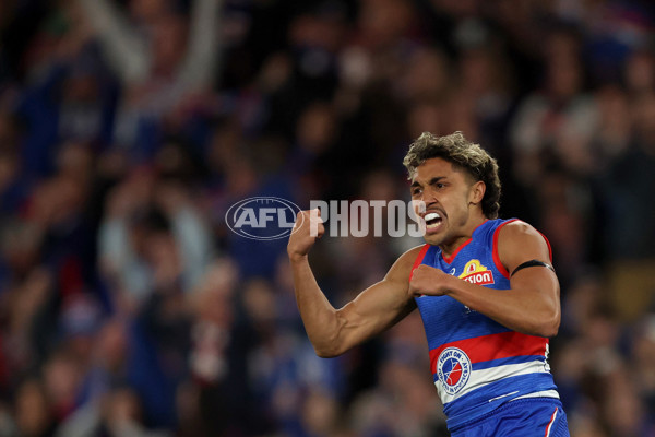 AFL 2025 Round 24 - Western Bulldogs v Fremantle - A-61744738