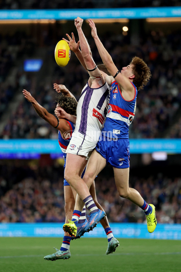 AFL 2025 Round 24 - Western Bulldogs v Fremantle - A-61744794