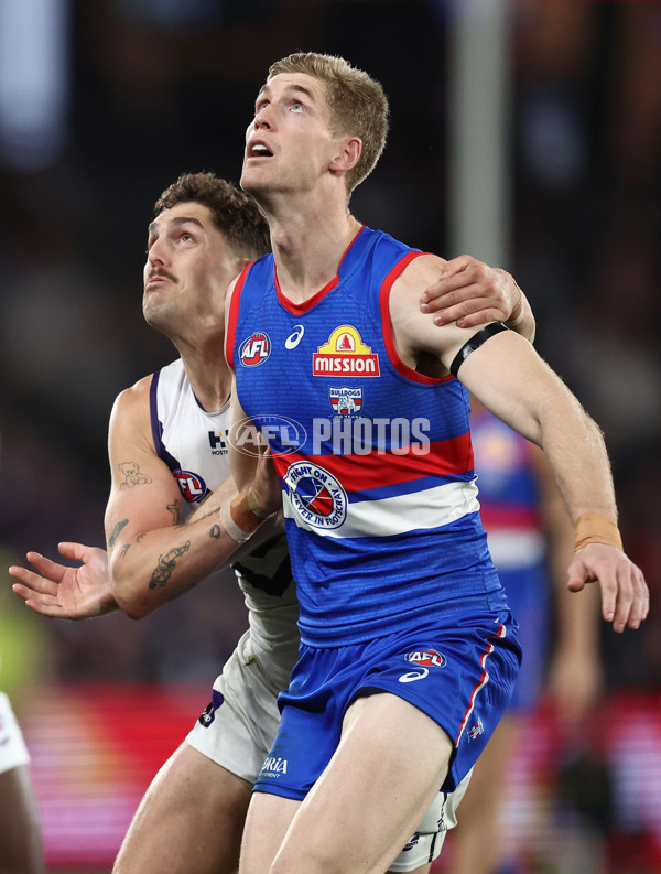 AFL 2025 Round 24 - Western Bulldogs v Fremantle - A-61744811