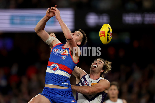 AFL 2025 Round 24 - Western Bulldogs v Fremantle - A-61746325
