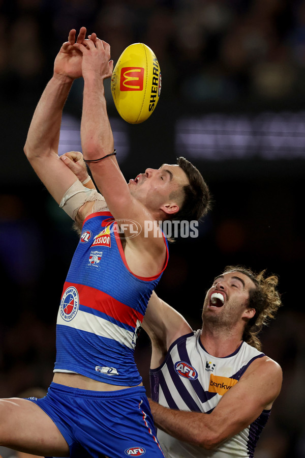 AFL 2025 Round 24 - Western Bulldogs v Fremantle - A-61746326