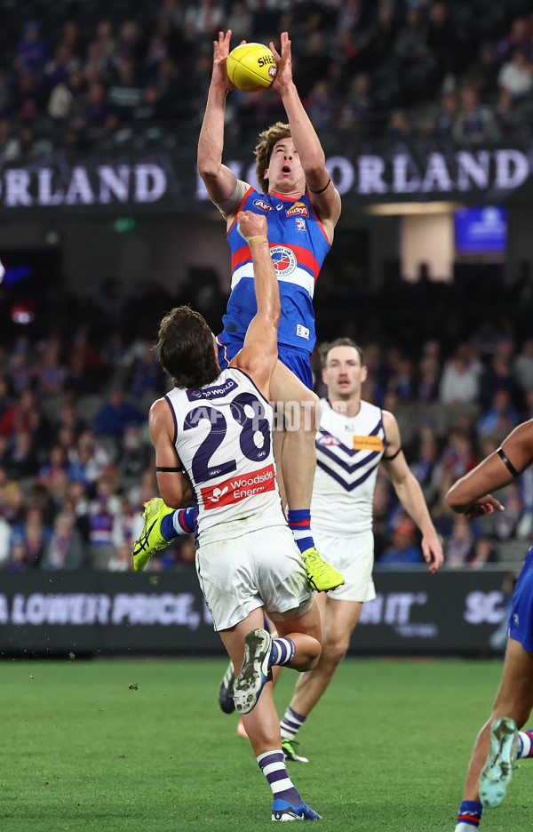AFL 2025 Round 24 - Western Bulldogs v Fremantle - A-61748777