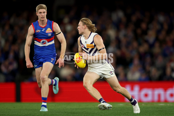 AFL 2025 Round 24 - Western Bulldogs v Fremantle - A-61748795