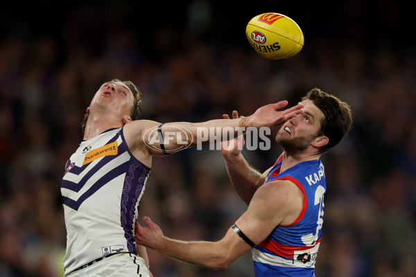 AFL 2025 Round 24 - Western Bulldogs v Fremantle - A-61748798