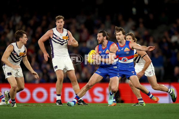 AFL 2025 Round 24 - Western Bulldogs v Fremantle - A-61748799