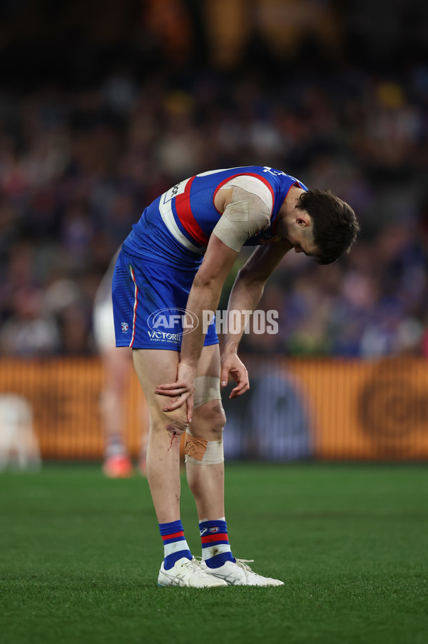 AFL 2025 Round 24 - Western Bulldogs v Fremantle - A-61748802