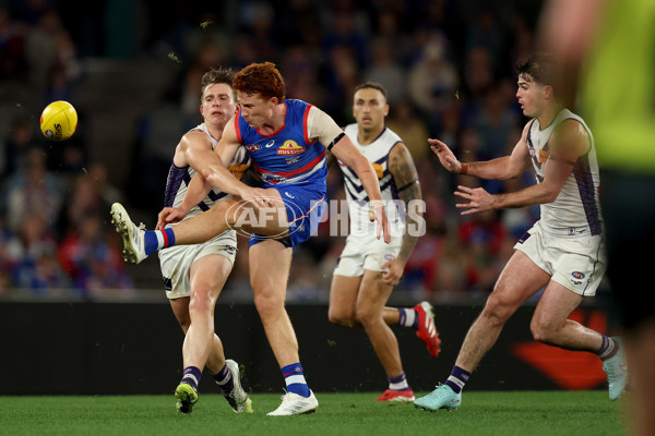 AFL 2025 Round 24 - Western Bulldogs v Fremantle - A-61748809