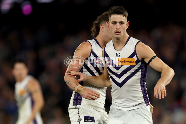 AFL 2025 Round 24 - Western Bulldogs v Fremantle - A-61748811