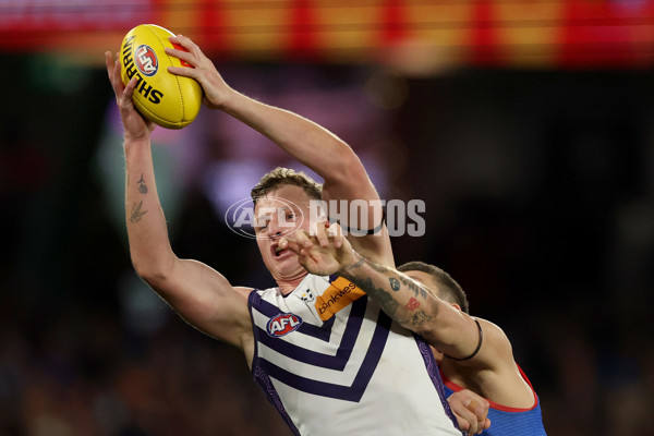 AFL 2025 Round 24 - Western Bulldogs v Fremantle - A-61748813