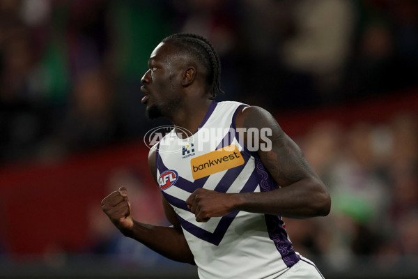 AFL 2025 Round 24 - Western Bulldogs v Fremantle - A-61748835