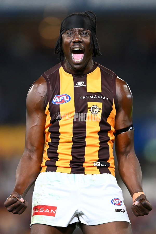 AFL 2025 Round 24 - Brisbane v Hawthorn - A-61753158