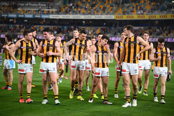 AFL 2025 Round 24 - Brisbane v Hawthorn - A-61760952