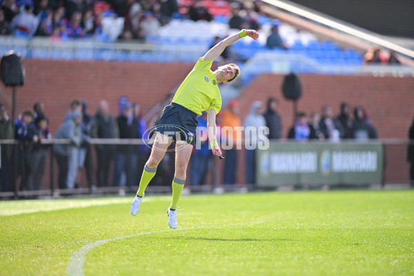 VFL 2025 Qualifying Final - Footscray Bulldogs v Frankston - A-61941662