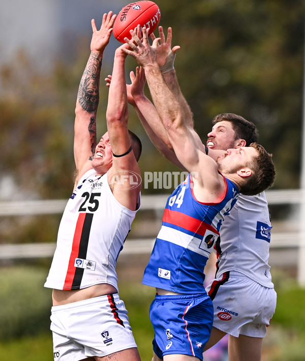 VFL 2025 Qualifying Final - Footscray Bulldogs v Frankston - A-62088489