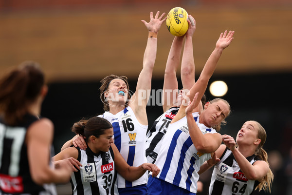 VFLW 2025 Grand Final - Collingwood v North Melbourne-Werribee - A-62097216